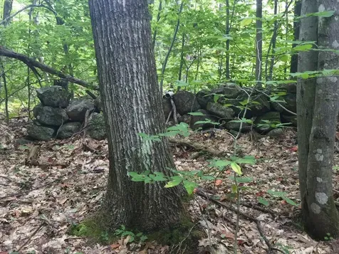 35 Pinnacle Ridge Road Meredith NH 03253