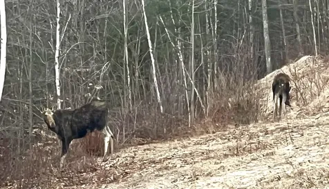 35 Pinnacle Ridge Road Meredith NH 03253