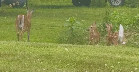 35 Pinnacle Ridge Road Meredith NH 03253