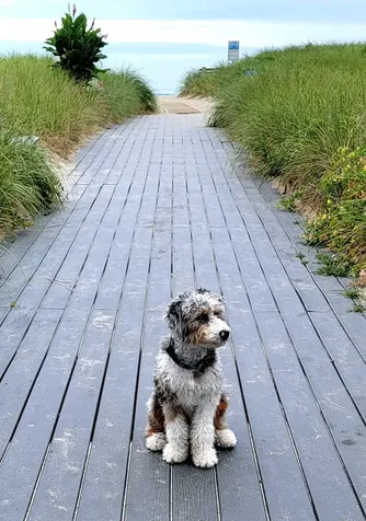 108 Ocean Drive Seabrook NH 03874