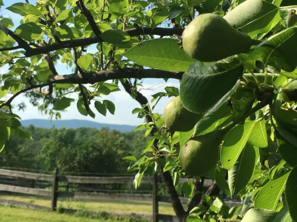 184 Deerfield Road Nottingham NH 03290