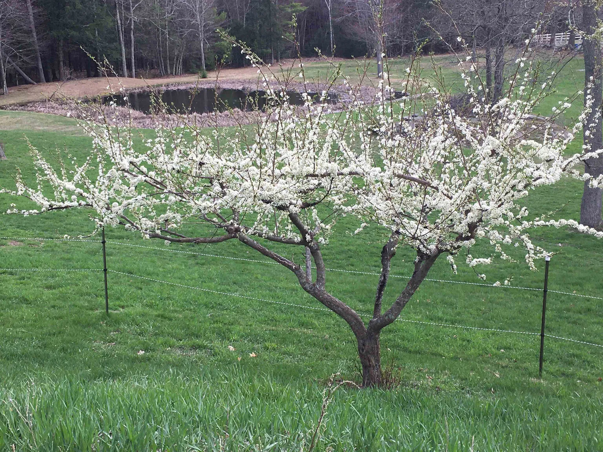 184 Deerfield Road Nottingham NH 03290