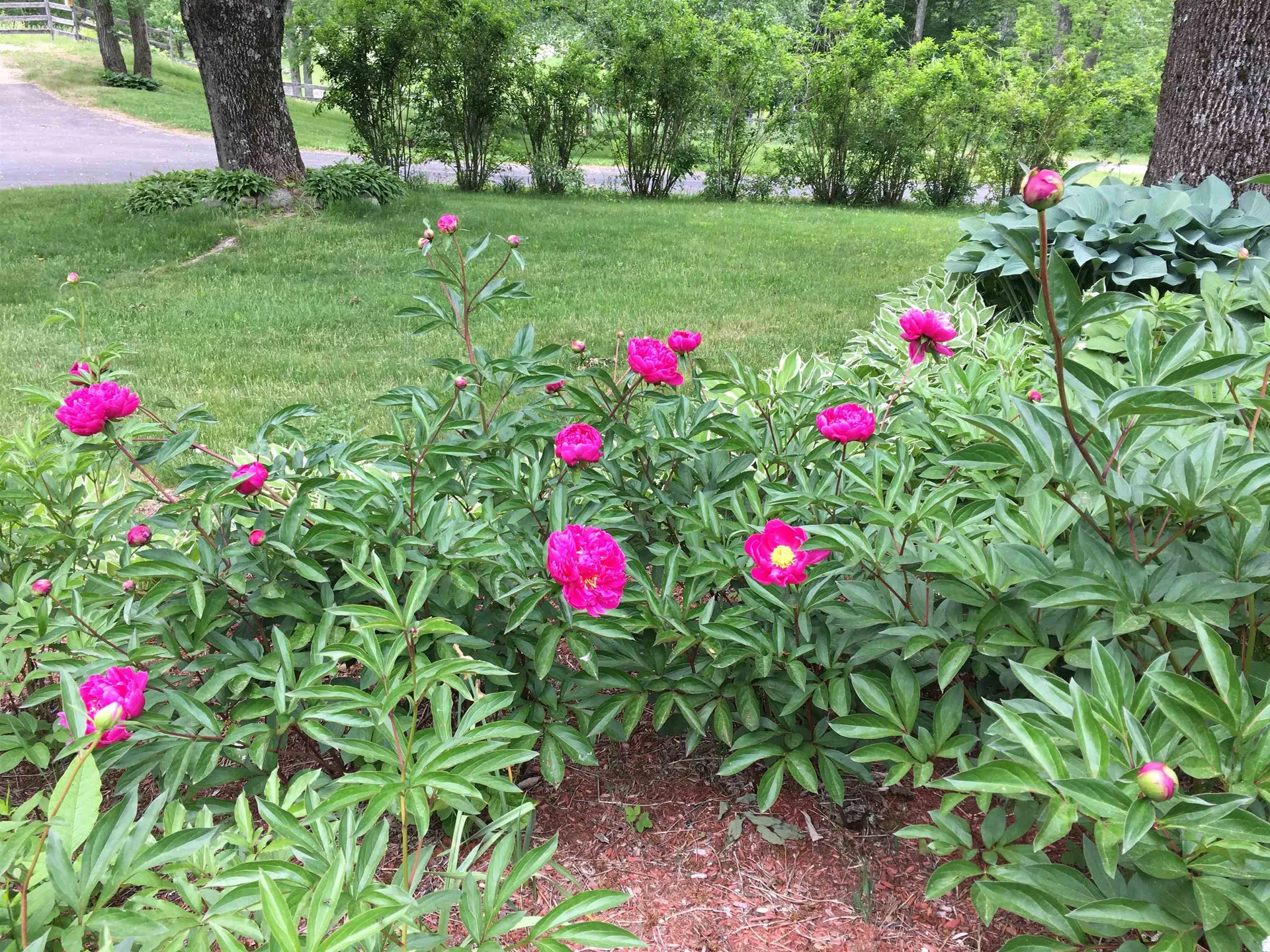 184 Deerfield Road Nottingham NH 03290