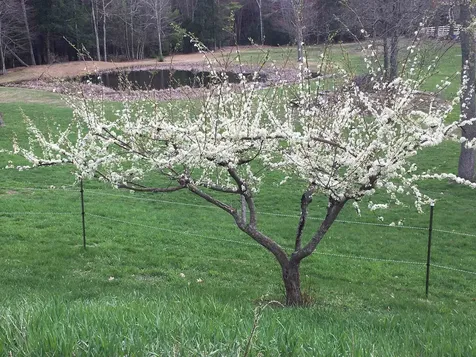 184 Deerfield Road Nottingham NH 03290