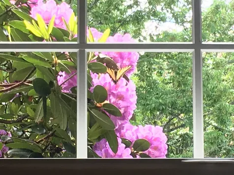 184 Deerfield Road Nottingham NH 03290