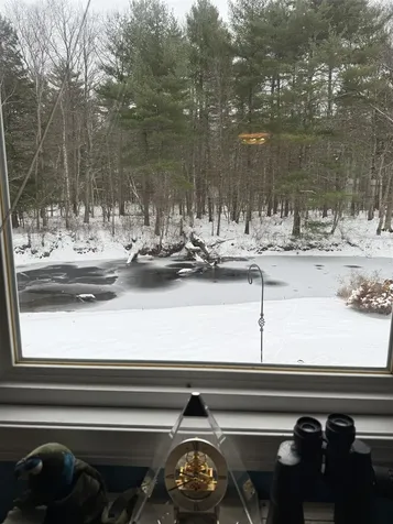 1013 Camelot Drive Exeter NH 03833