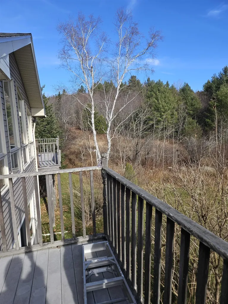 117 Ray Hill Road Wilmington VT 05363