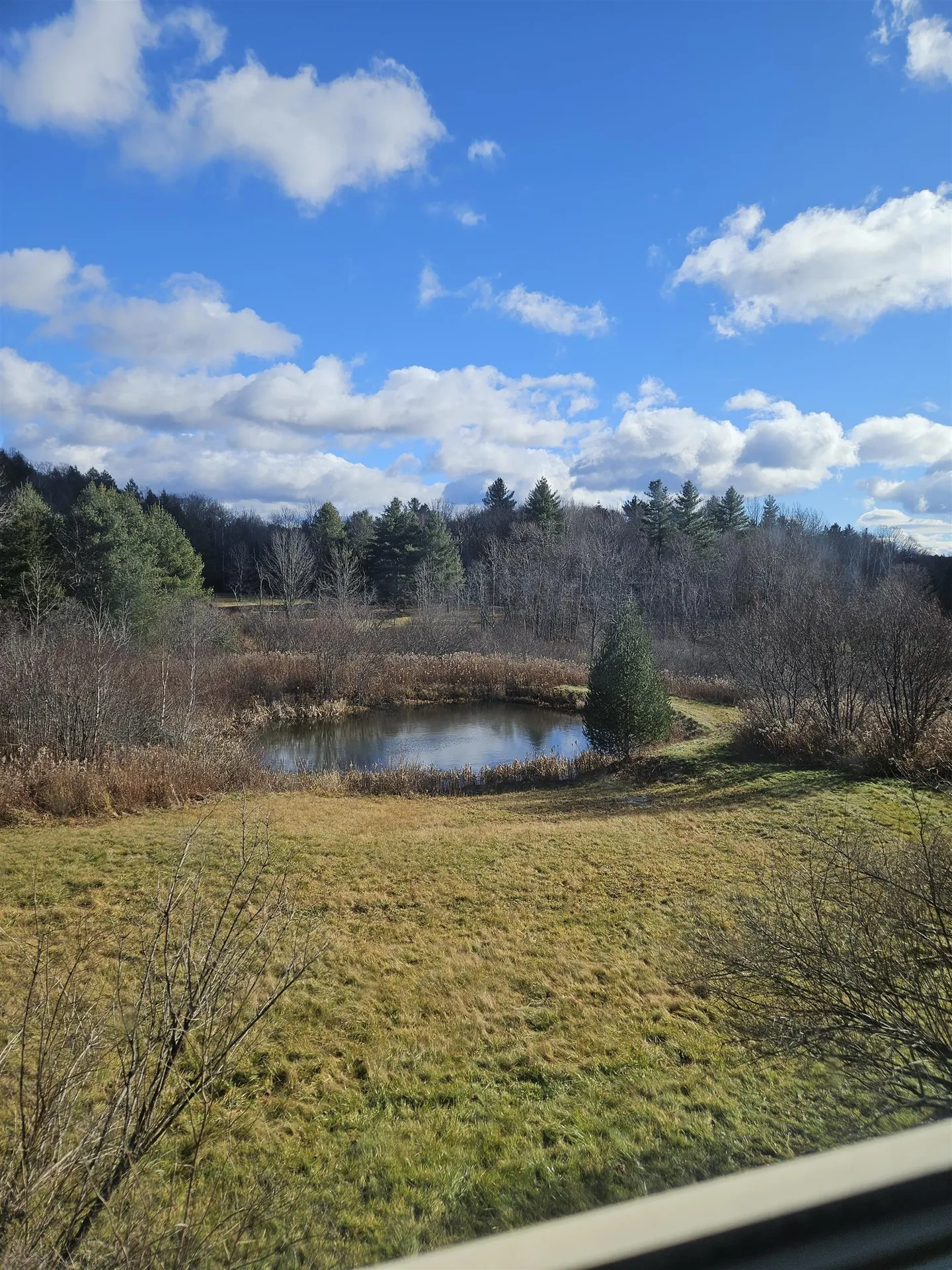 117 Ray Hill Road Wilmington VT 05363