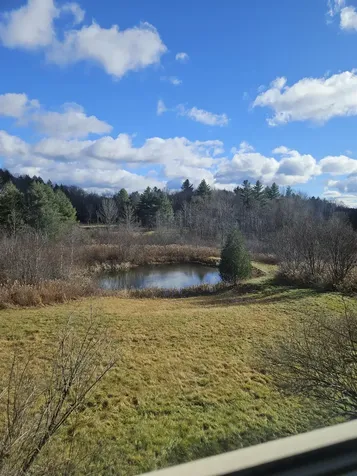 117 Ray Hill Road Wilmington VT 05363