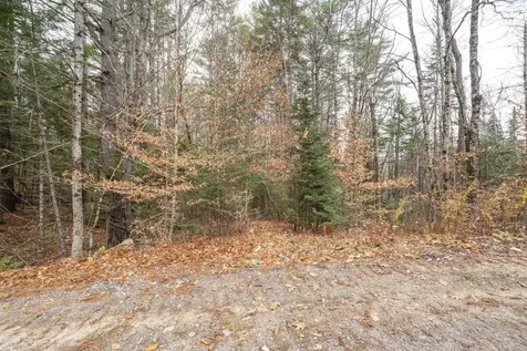 0 Juniper Meadow Road Danbury NH 03230