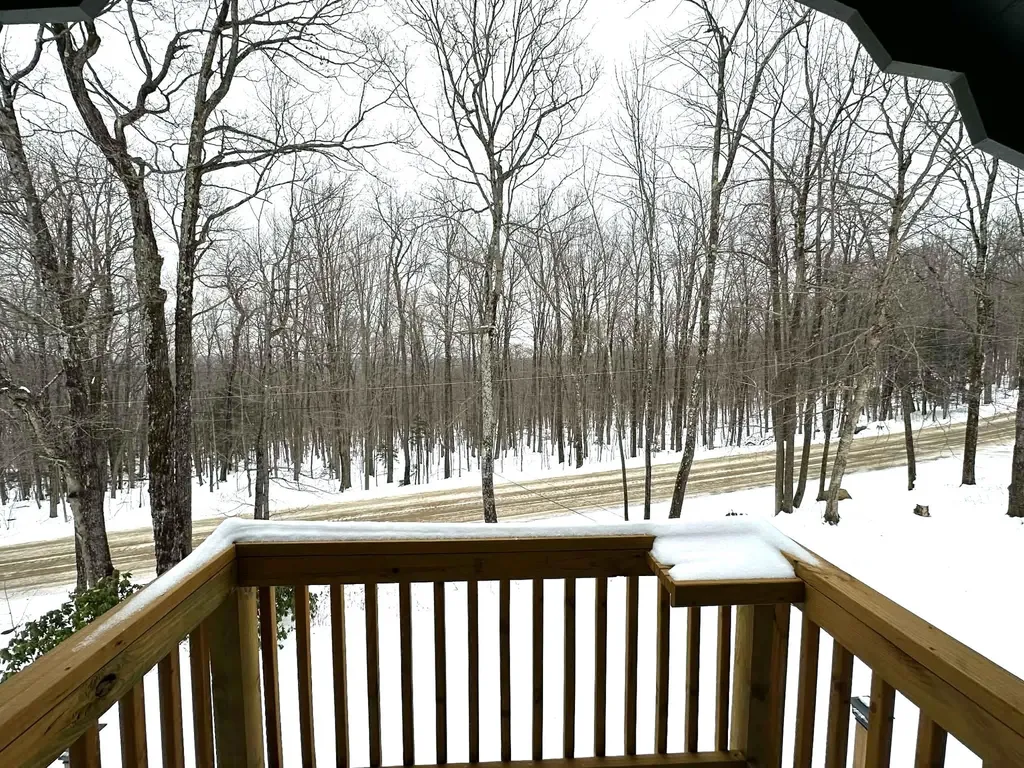 60 Higley Hill Dover VT 05341