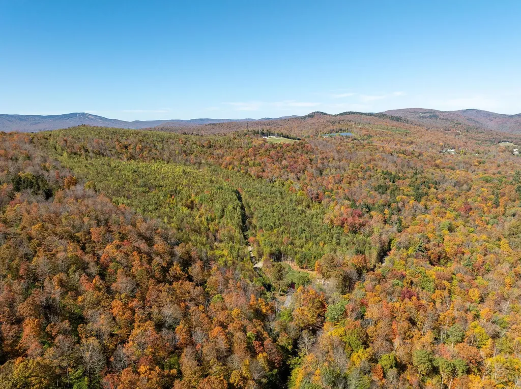 60 Higley Hill Dover VT 05341