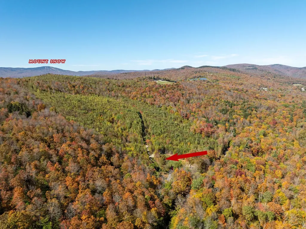 60 Higley Hill Dover VT 05341