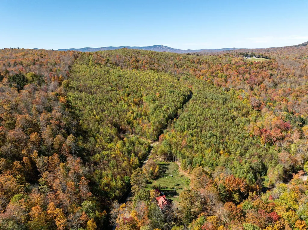 60 Higley Hill Dover VT 05341