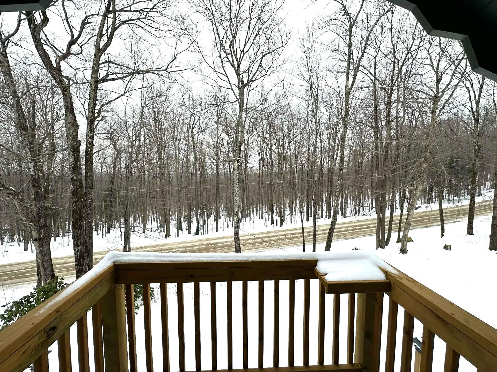 60 Higley Hill Dover VT 05341