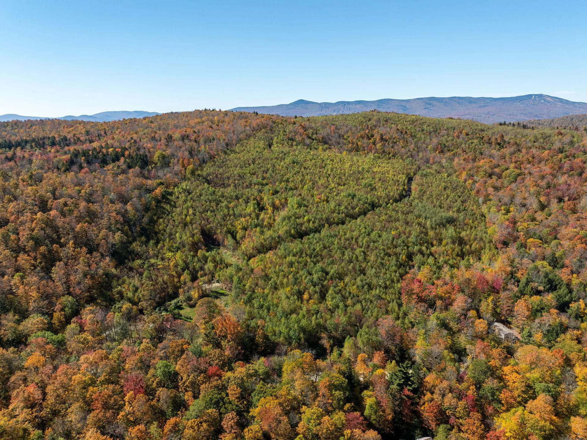 60 Higley Hill Dover VT 05341