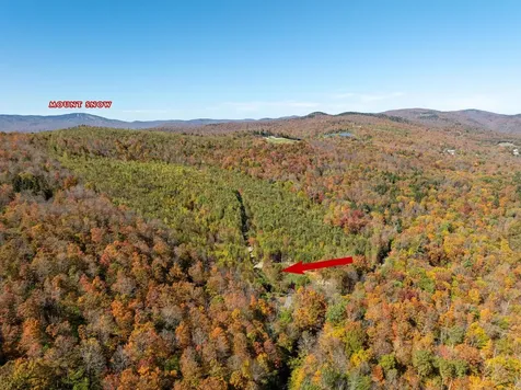 60 Higley Hill Dover VT 05341