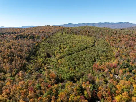 60 Higley Hill Dover VT 05341