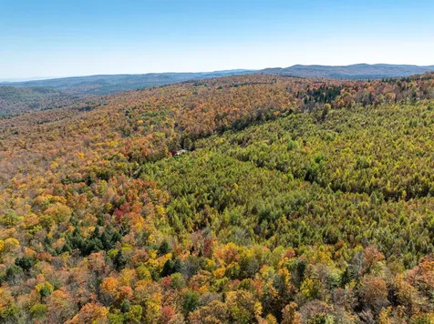 60 Higley Hill Dover VT 05341