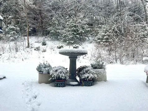 38 Tideview Drive Dover NH 03820