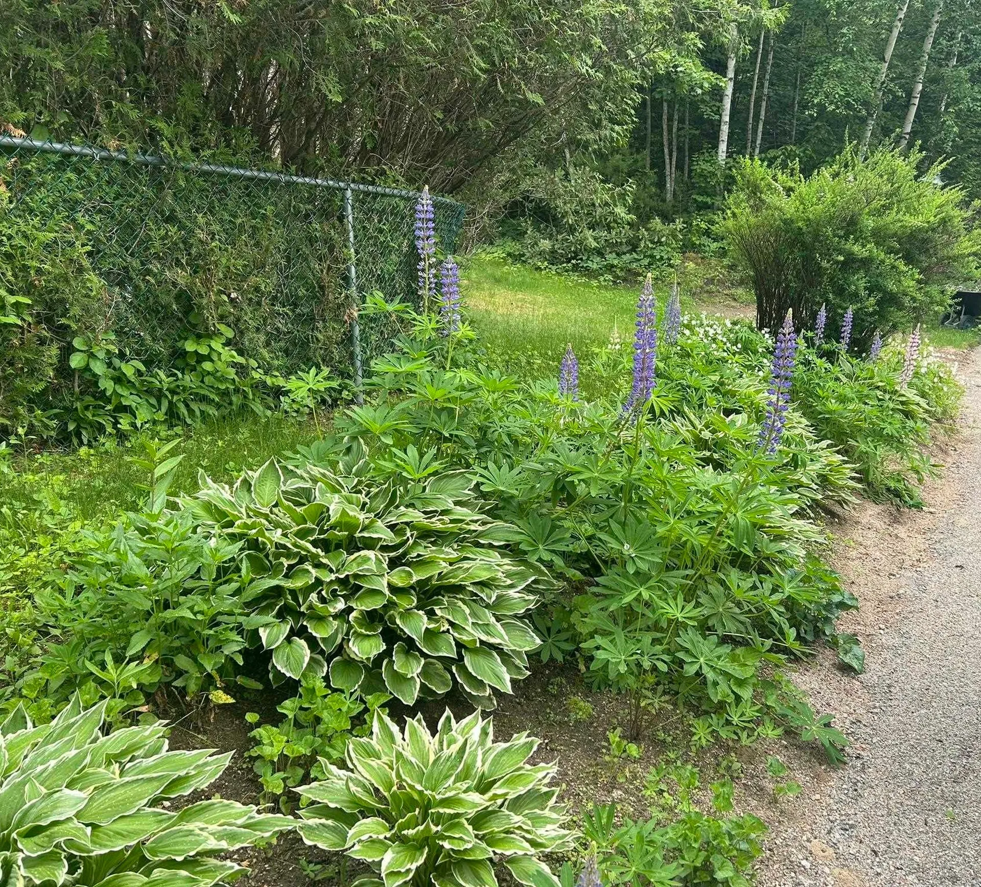 28 Washington Avenue Bartlett NH 03845