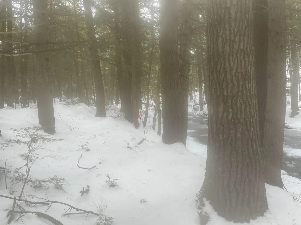 68 & 00 Gilman Valley & Route 25 W Tamworth NH 03883