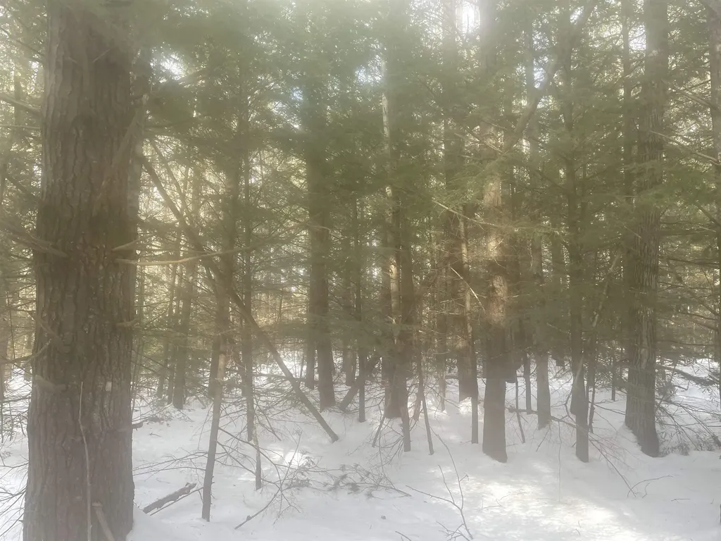 68 & 00 Gilman Valley & Route 25 W Tamworth NH 03883