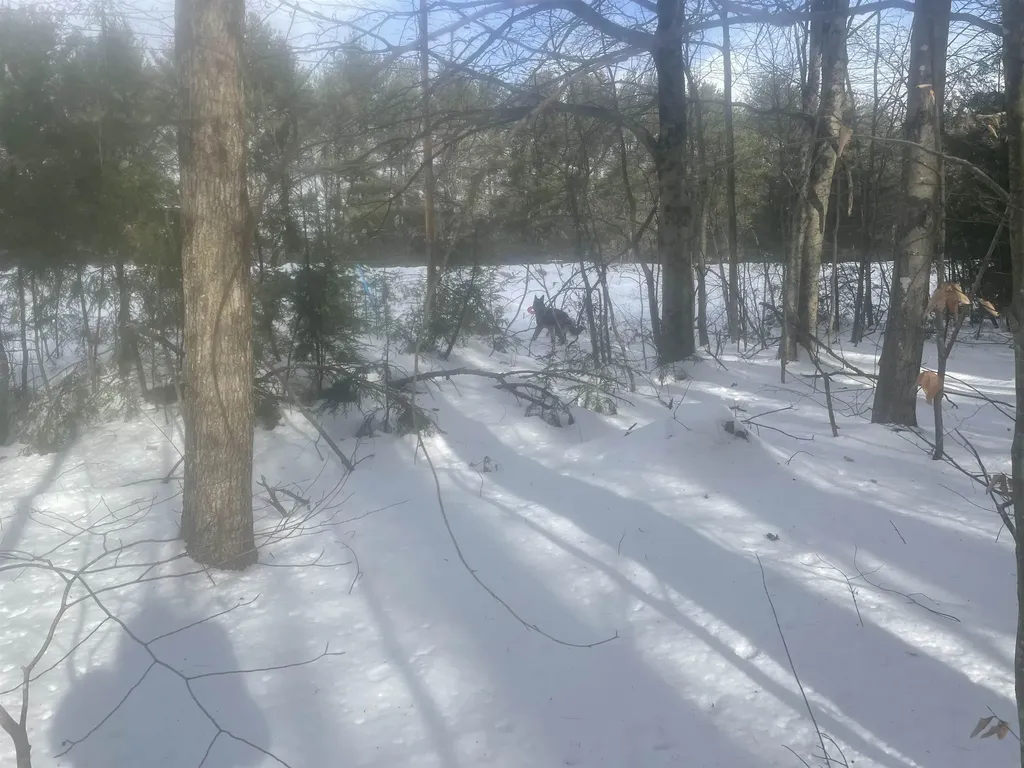 68 & 00 Gilman Valley & Route 25 W Tamworth NH 03883