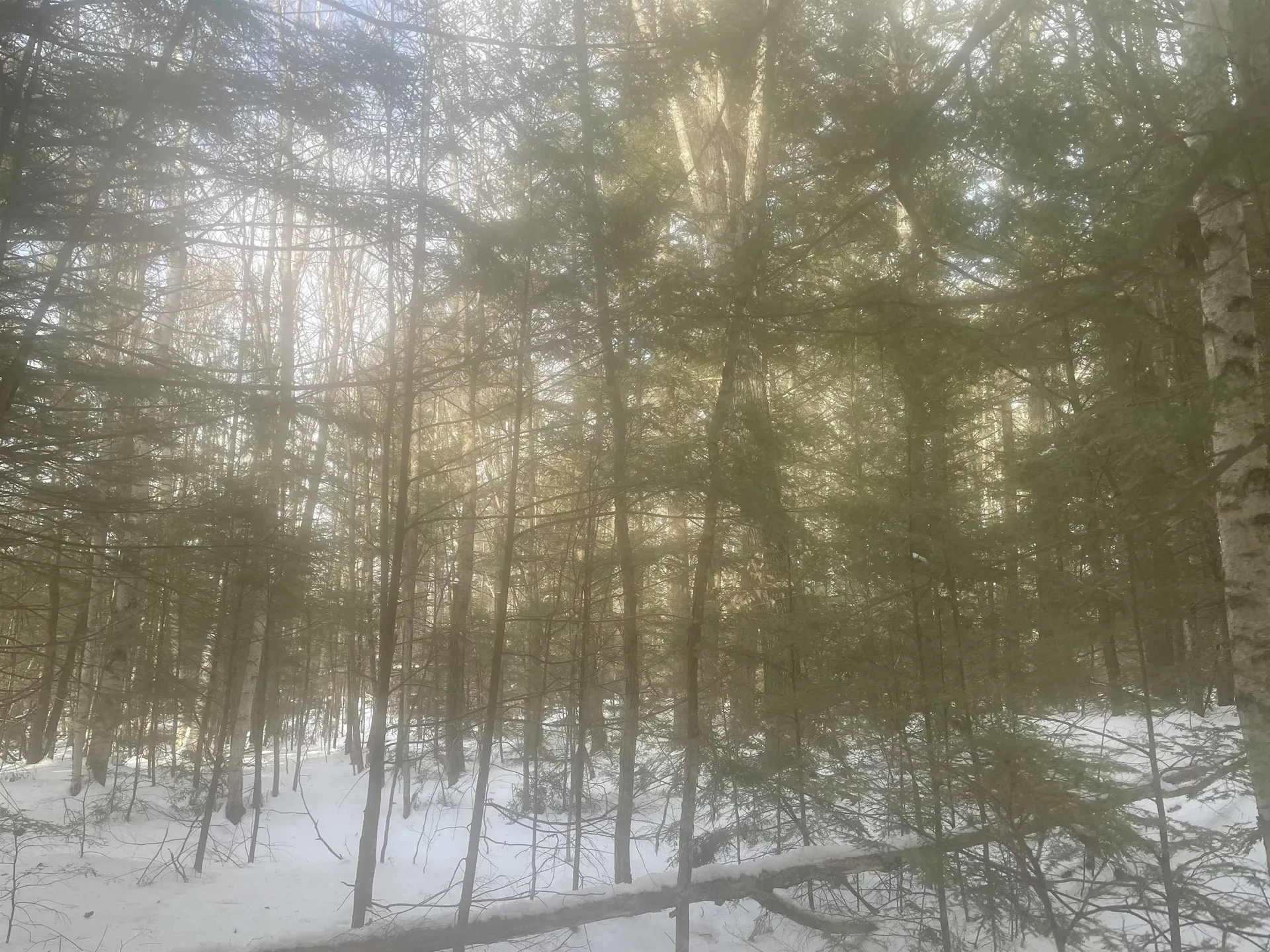 68 & 00 Gilman Valley & Route 25 W Tamworth NH 03883