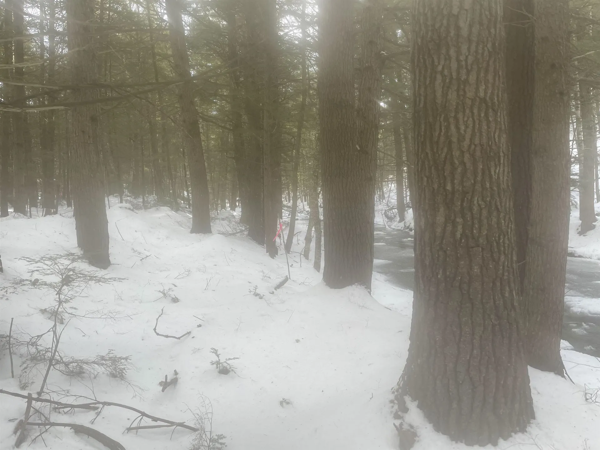 68 & 00 Gilman Valley & Route 25 W Tamworth NH 03883