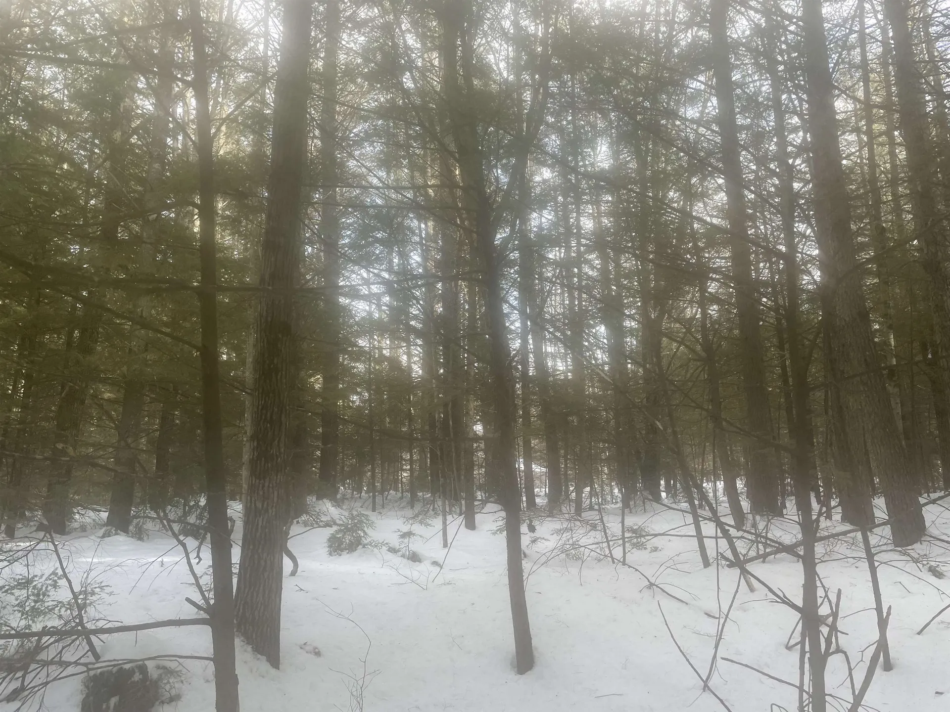 68 & 00 Gilman Valley & Route 25 W Tamworth NH 03883