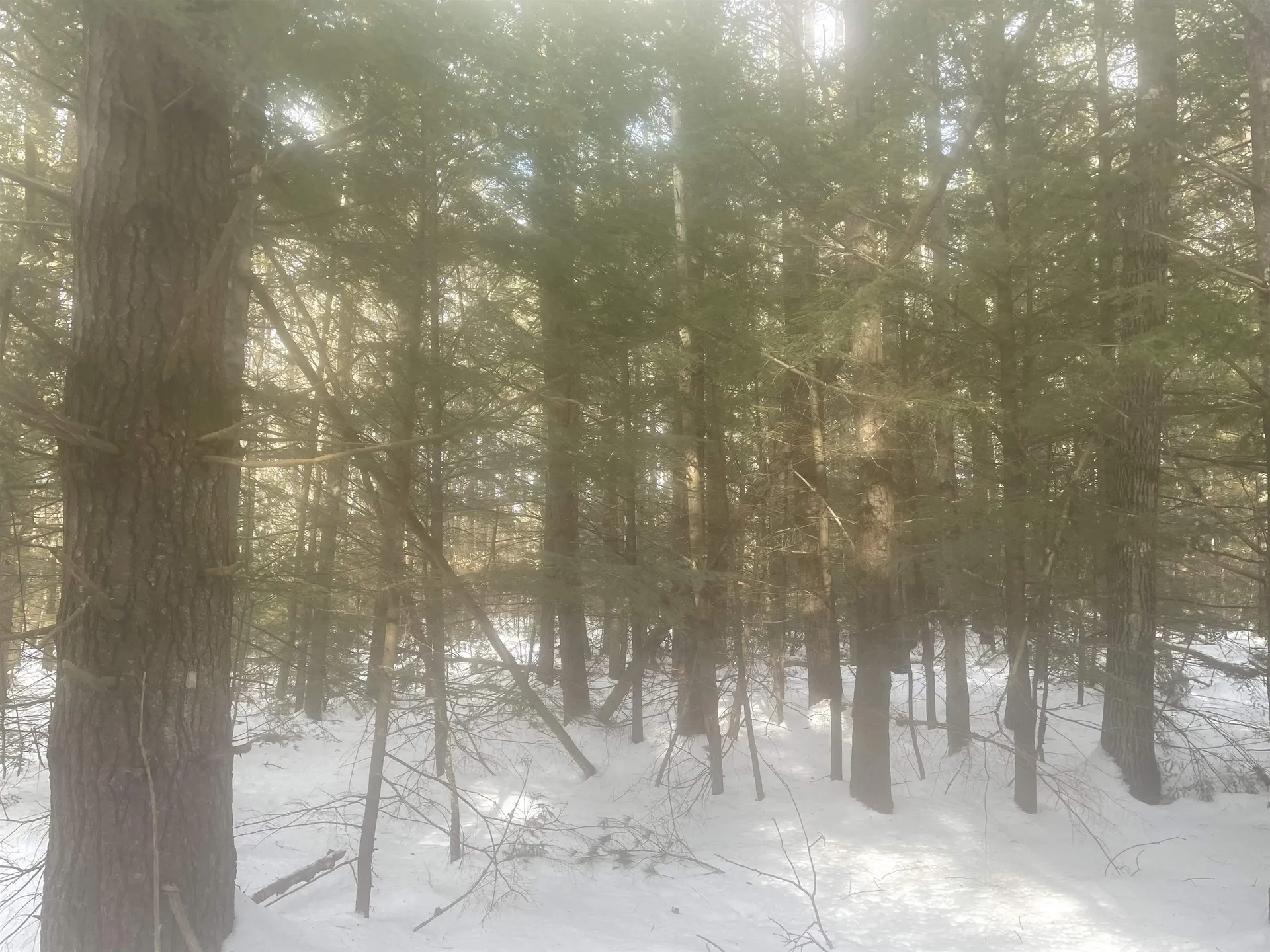 68 & 00 Gilman Valley & Route 25 W Tamworth NH 03883