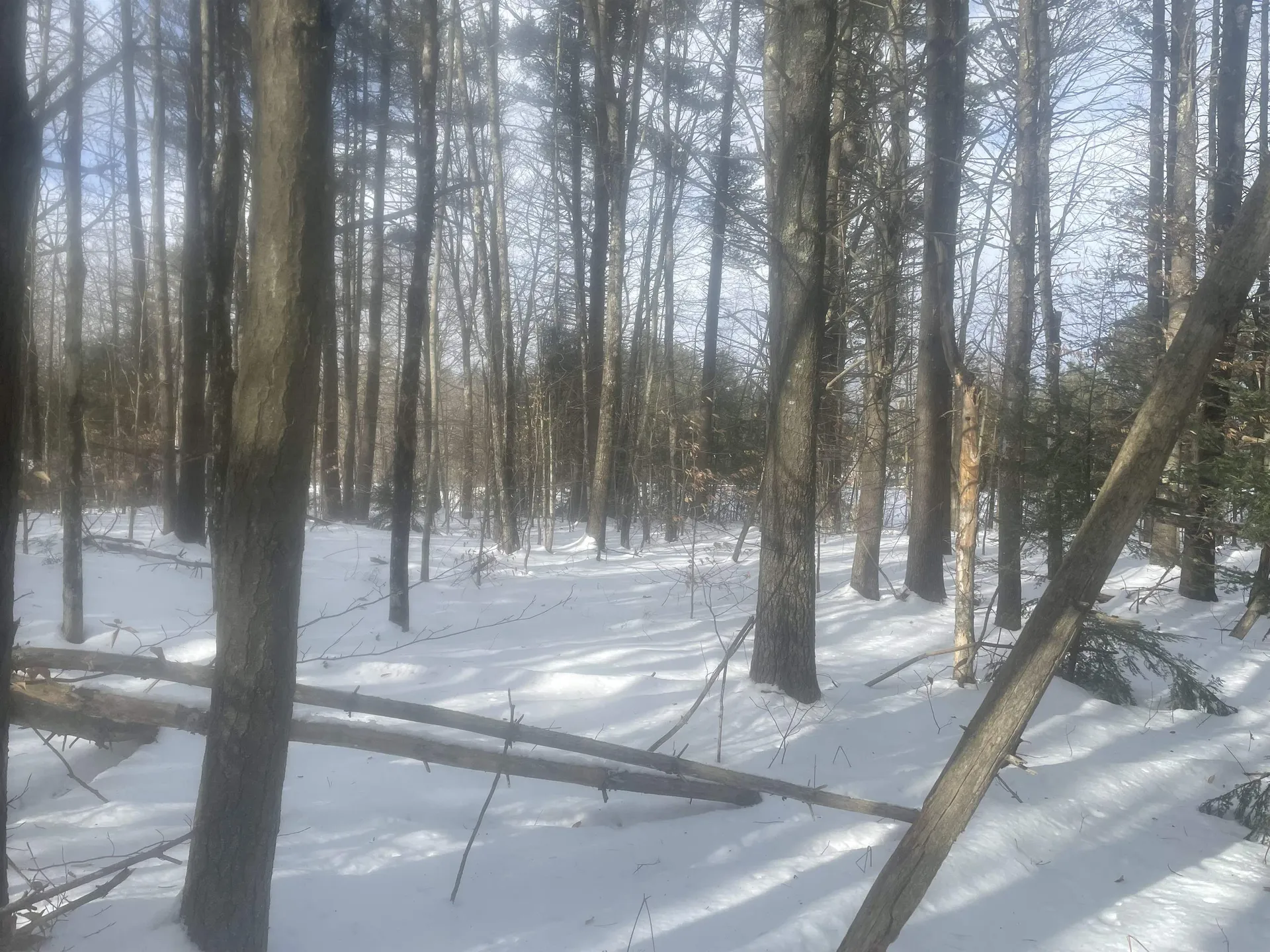 68 & 00 Gilman Valley & Route 25 W Tamworth NH 03883