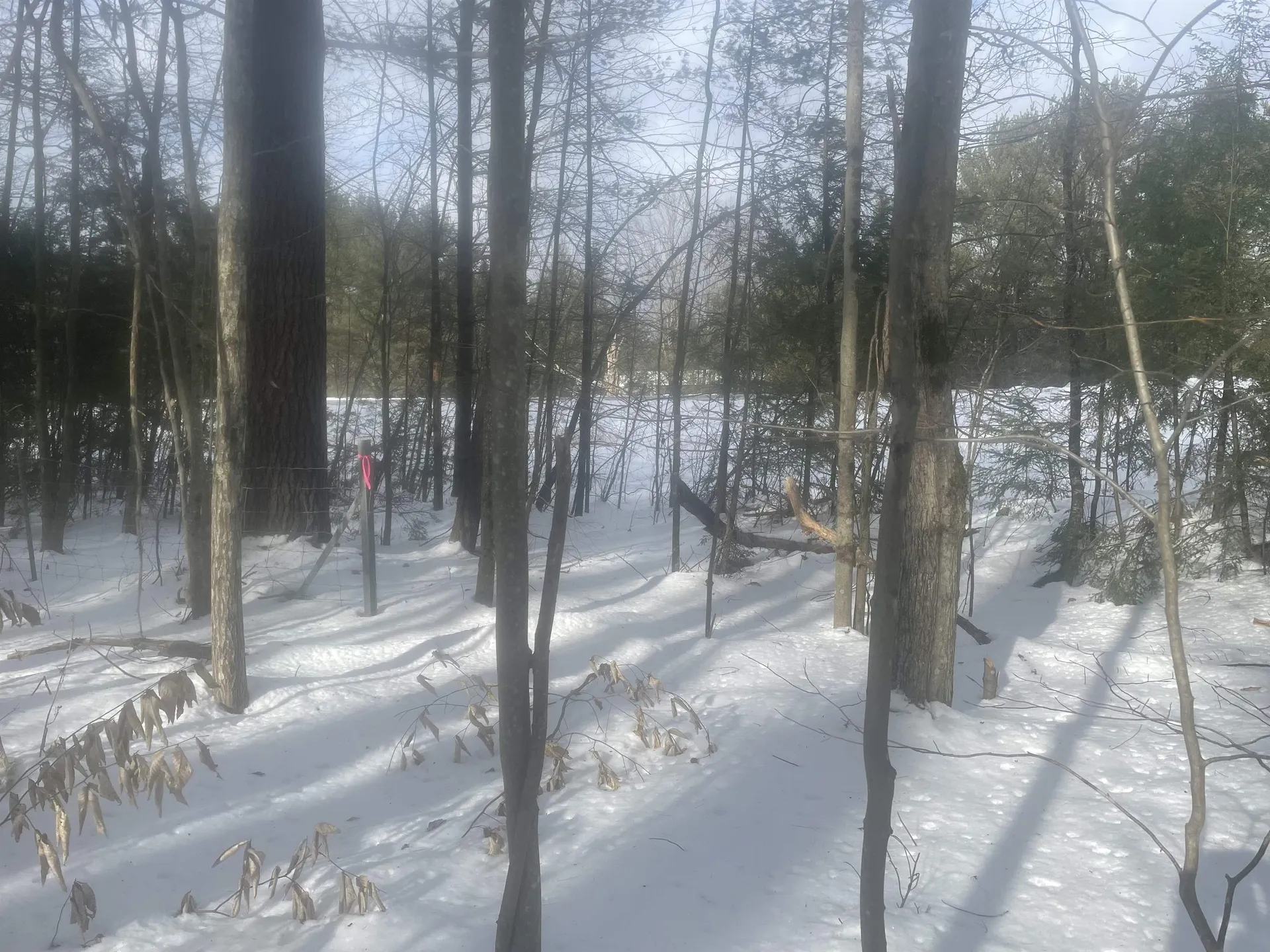 68 & 00 Gilman Valley & Route 25 W Tamworth NH 03883