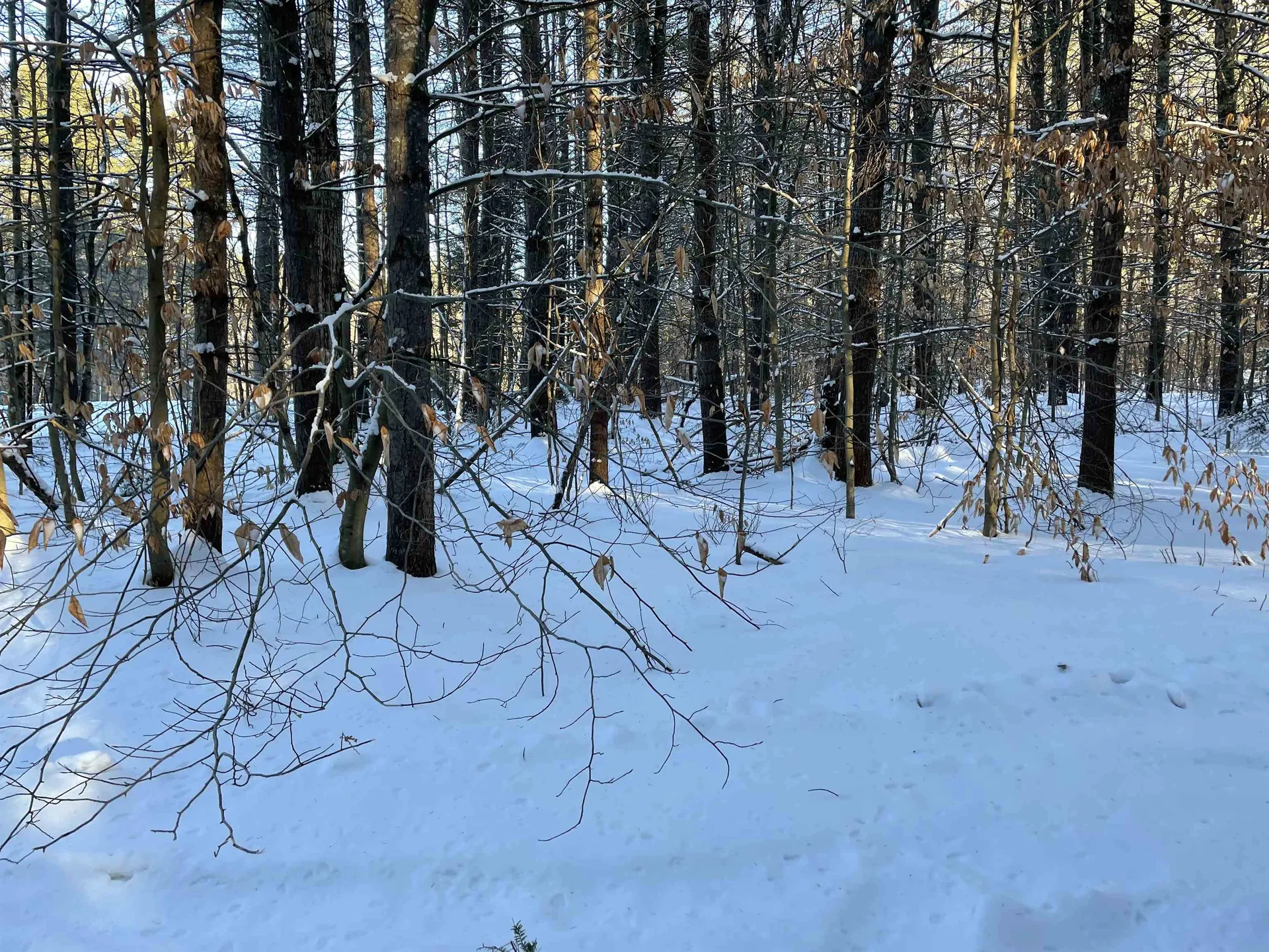 68 & 00 Gilman Valley & Route 25 W Tamworth NH 03883