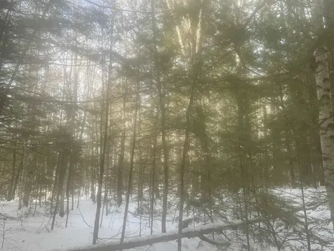 68 & 00 Gilman Valley & Route 25 W Tamworth NH 03883