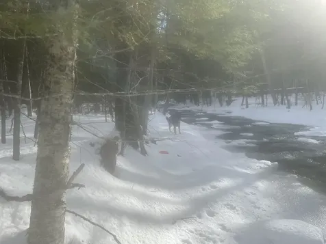 68 & 00 Gilman Valley & Route 25 W Tamworth NH 03883