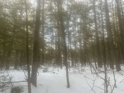 68 & 00 Gilman Valley & Route 25 W Tamworth NH 03883