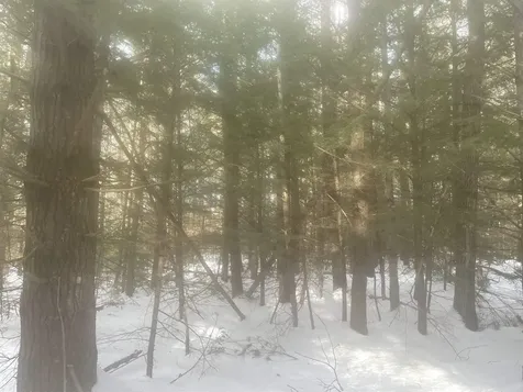 68 & 00 Gilman Valley & Route 25 W Tamworth NH 03883