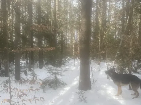 68 & 00 Gilman Valley & Route 25 W Tamworth NH 03883