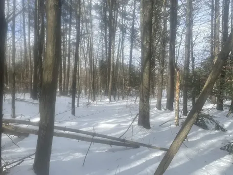 68 & 00 Gilman Valley & Route 25 W Tamworth NH 03883