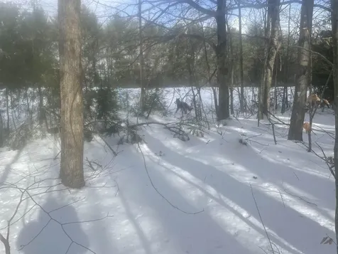 68 & 00 Gilman Valley & Route 25 W Tamworth NH 03883