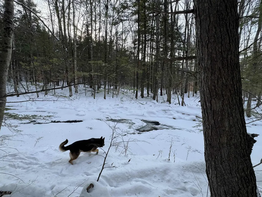 00 Route 25 W Tamworth NH 03883