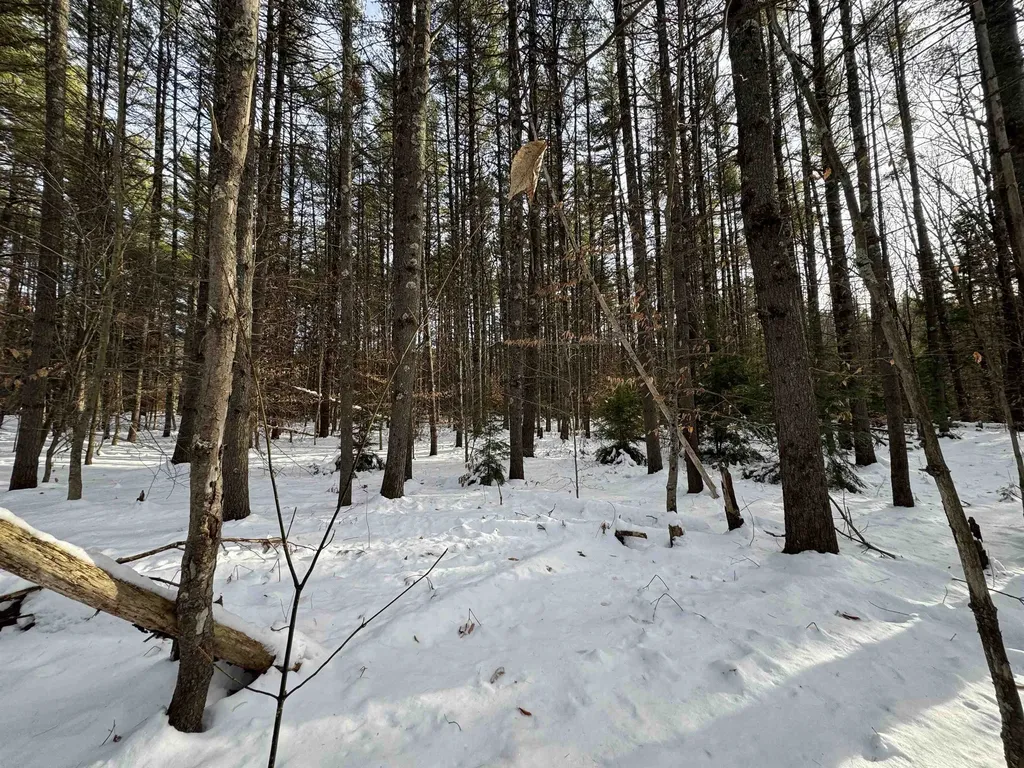 00 Route 25 W Tamworth NH 03883