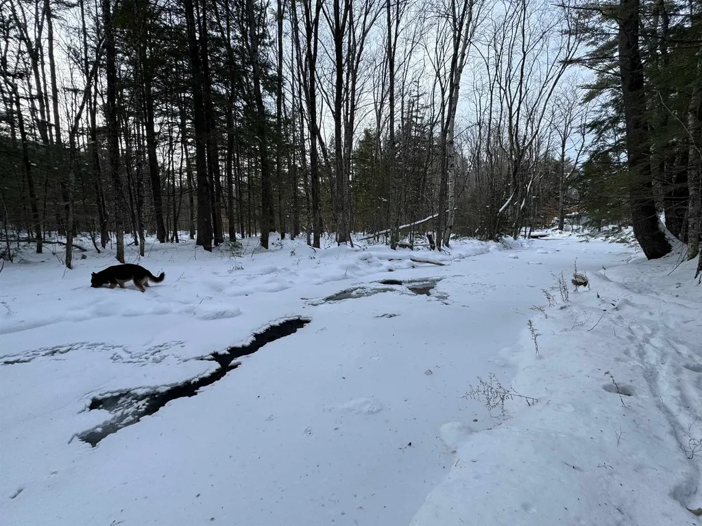 00 Route 25 W Tamworth NH 03883