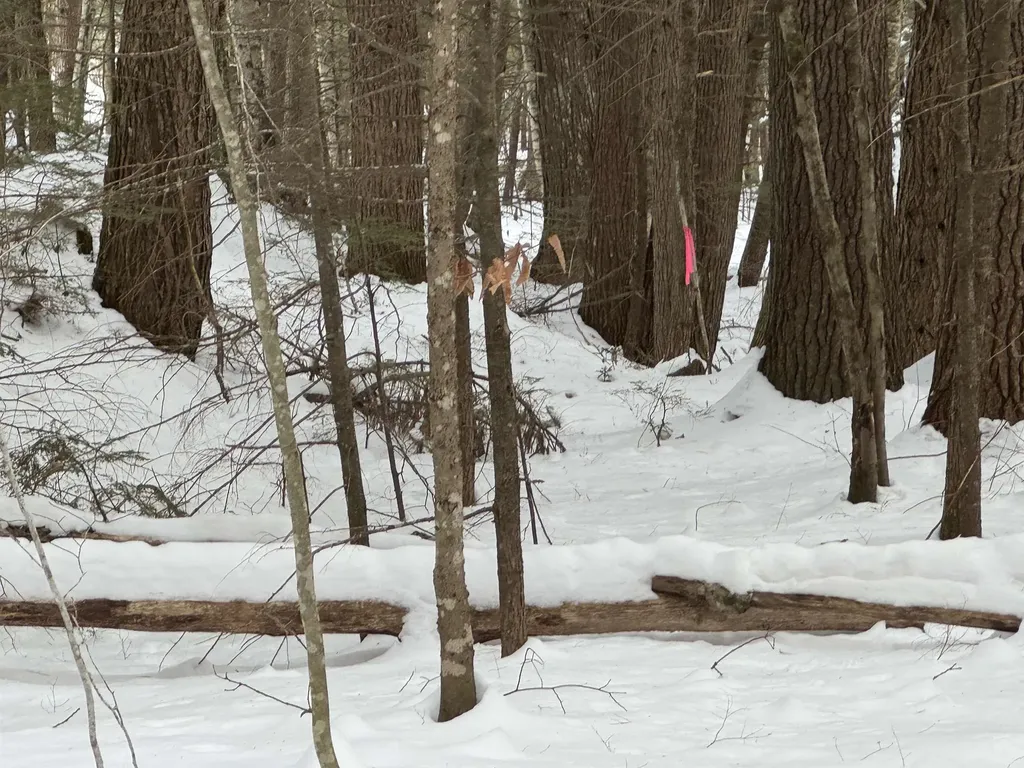 00 Route 25 W Tamworth NH 03883