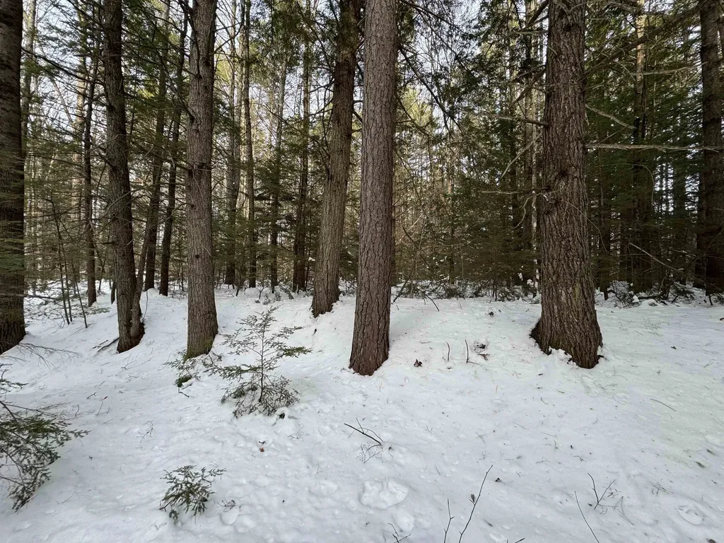 00 Route 25 W Tamworth NH 03883