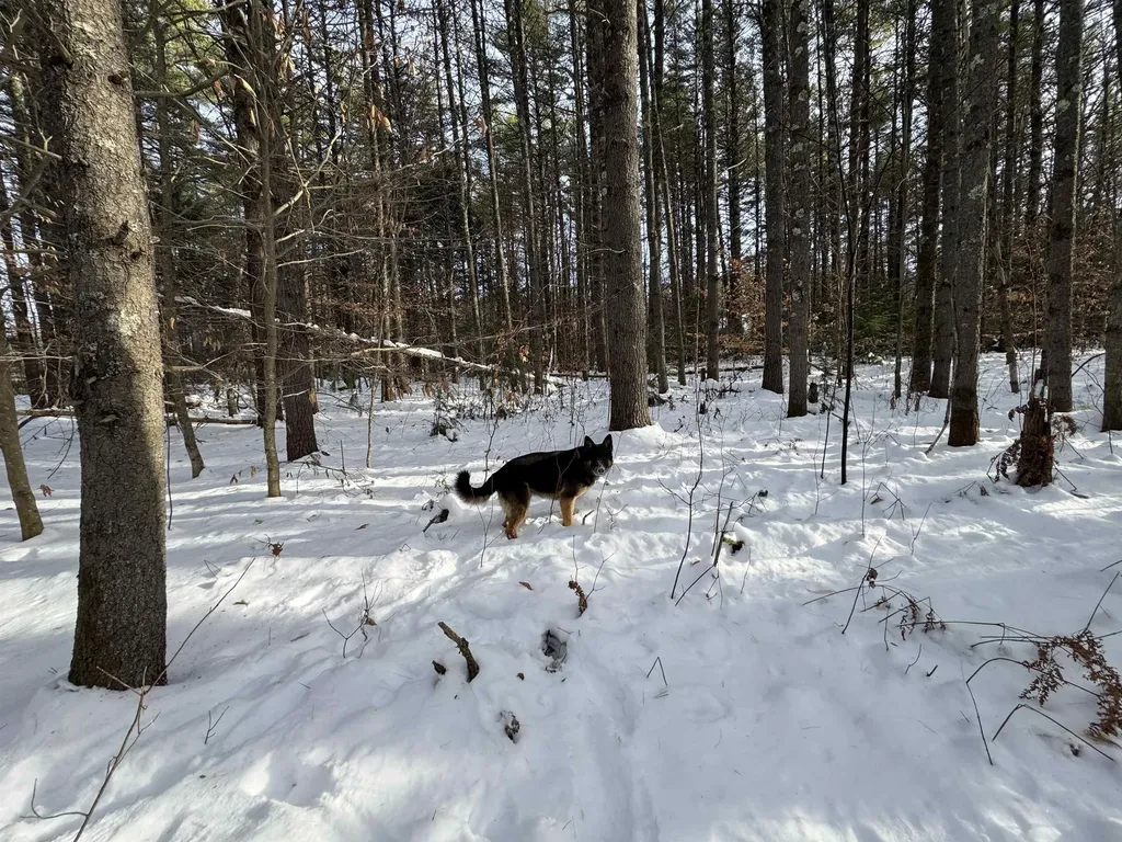 00 Route 25 W Tamworth NH 03883