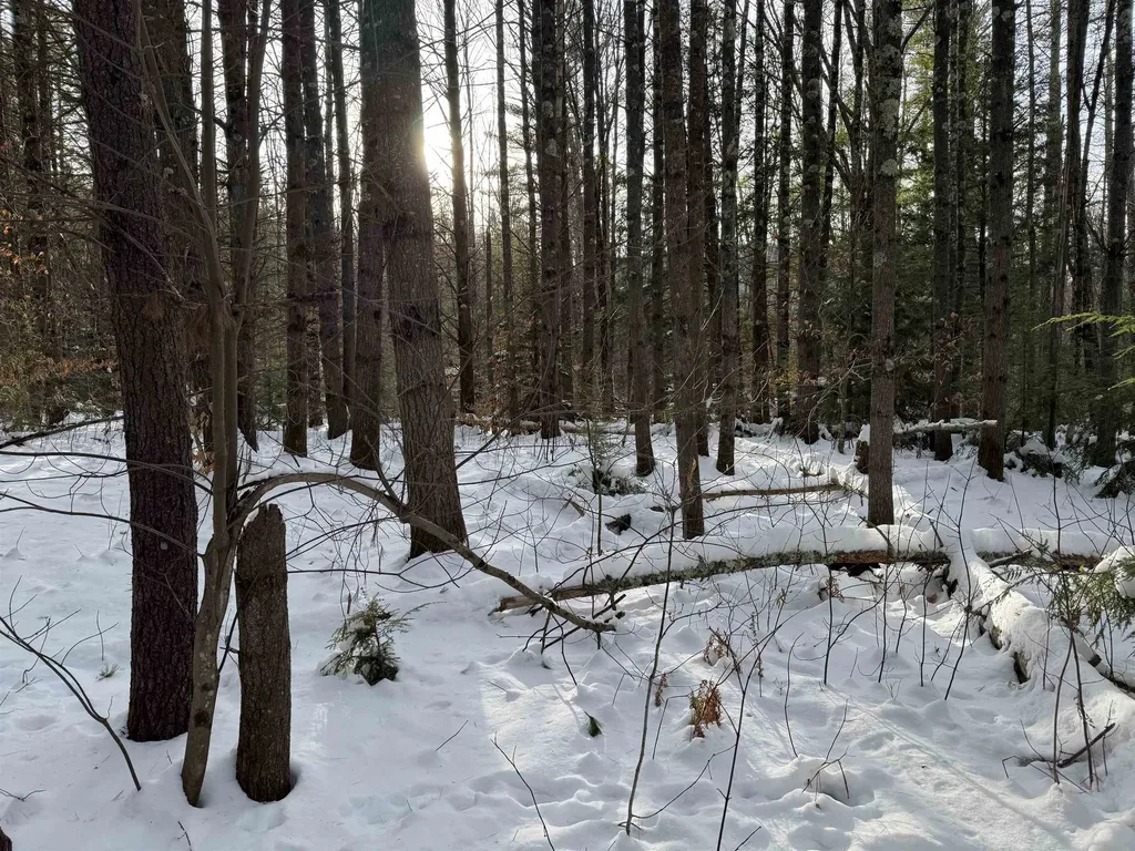 00 Route 25 W Tamworth NH 03883