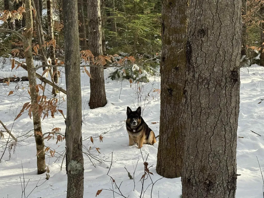 00 Route 25 W Tamworth NH 03883